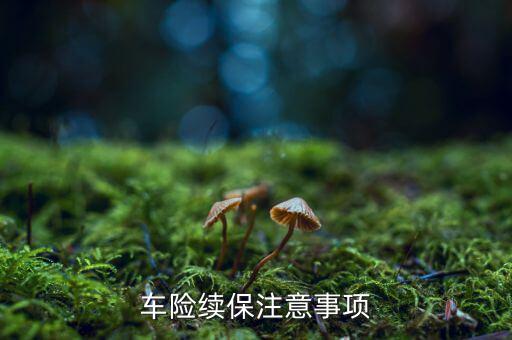 三大優(yōu)質(zhì)業(yè)務(wù)續(xù)保需要注意什么，保險(xiǎn)要到期了問一下續(xù)保需要注意啥