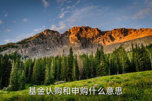 基金認申購什么意思，基金中的認購是什么意思