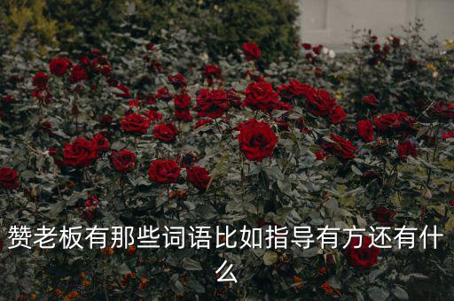 什么成語能夠形容房地產(chǎn)老板，贊老板有那些詞語比如指導(dǎo)有方還有什么