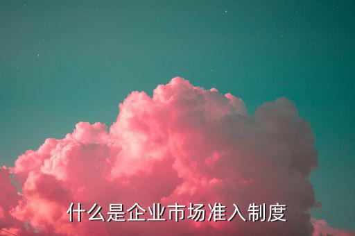 市場(chǎng)準(zhǔn)入制度指什么，差別化市場(chǎng)準(zhǔn)入制度是什么意思
