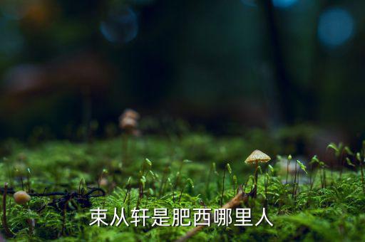 朱從玖肥西什么地方人，kimson肥西是哪里人