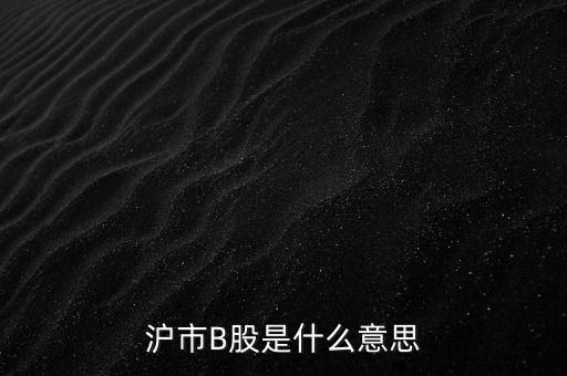滬深b股是什么意思，滬市B股是什么意思