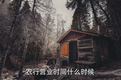 農(nóng)行什么時(shí)候上班，農(nóng)行上班時(shí)間