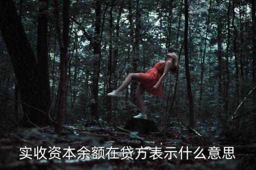 什么是資本余額，什么是資本性資金誰知道請告訴我謝謝