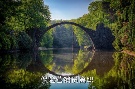保險銷售員辭職能做什么，保險營銷員離職
