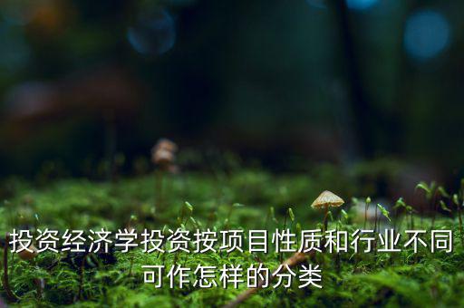 什么是公共消費性投資，如何理解消費投資