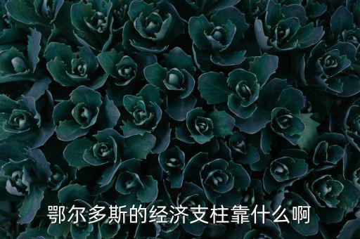 為什么鄂爾多斯經(jīng)濟(jì)發(fā)展，鄂爾多斯市是什么原因讓其發(fā)展如此迅猛