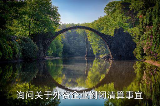 沈陽投資公司跑路市政府什么解決，詢問關于外資企業(yè)倒閉清算事宜