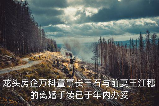 王石什么時(shí)候離婚的，龍頭房企萬科董事長(zhǎng)王石與前妻王江穗的離婚手續(xù)已于年內(nèi)辦妥