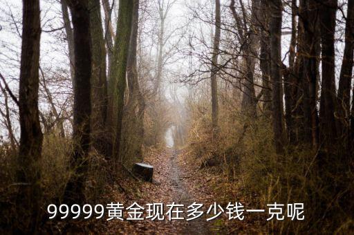 黃金現(xiàn)在什么價(jià)格一克，黃金現(xiàn)在多少錢一克