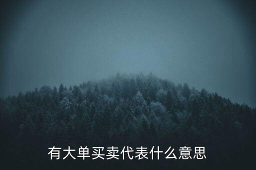 在買5成交有大單是什么意思，股票中大單是什么意思