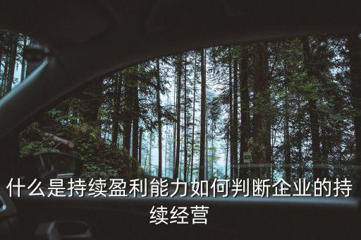 什么是持續(xù)盈利能力，什么是具備持續(xù)贏利能力的行業(yè)