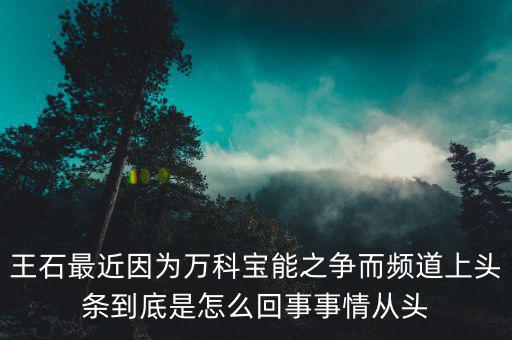 王石現(xiàn)在忙什么，王石現(xiàn)在在干什么
