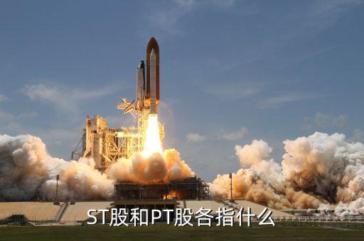 什么叫pt股，股票中PT股代表什么意思