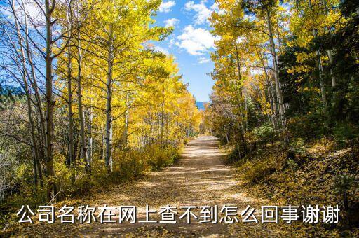 為什么查不到金荔科技，公司名稱在網(wǎng)上查不到怎么回事謝謝