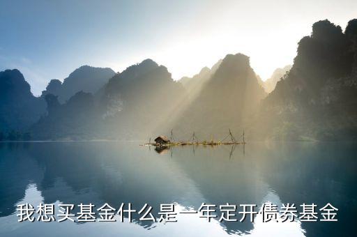 定開債券是什么意思，我想買基金什么是一年定開債券基金
