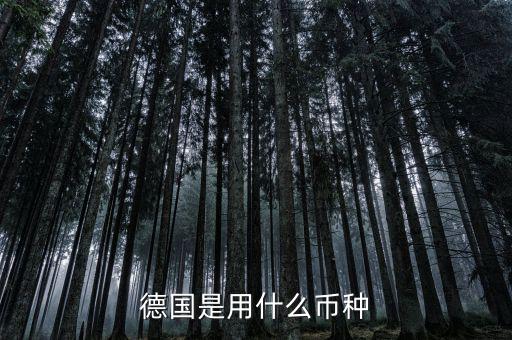 德國是什么貨幣，德國是用什么幣種