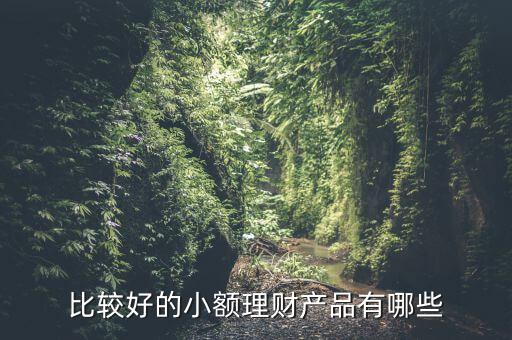 有什么小額理財產(chǎn)品，小額理財投資產(chǎn)品有哪些