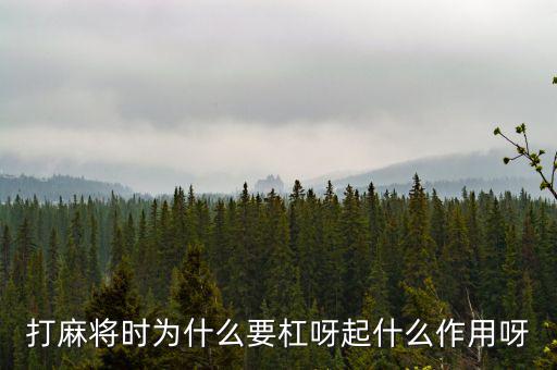 為什么要用杠桿，為什么有些杠桿要設(shè)計(jì)成費(fèi)力的呢