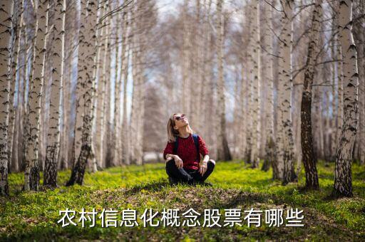 農(nóng)村富了什么股票，農(nóng)村信息化概念股票有哪些