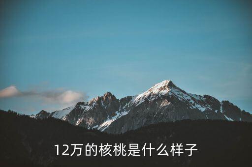 36萬核桃長(zhǎng)什么樣，大家看這個(gè)核桃做的怎樣值多少