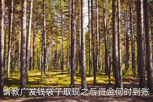 廣發(fā)錢袋子墊資什么時候，廣發(fā)錢袋子前天周末為什么沒有收益今天周一收益還沒出來