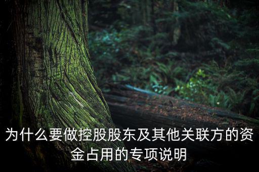 為什么要做控股股東及其他關(guān)聯(lián)方的資金占用的專項說明