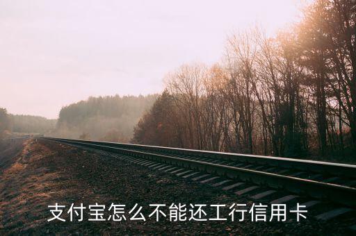 支付寶為什么不能還信用卡，支付寶怎么不能還工行信用卡