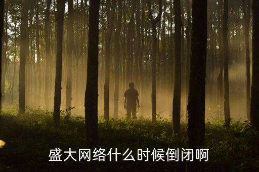 美國盛大游戲什么時間退市，盛大倒閉確切日期