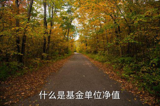 基金中什么是單位凈值，什么是基金單位凈值
