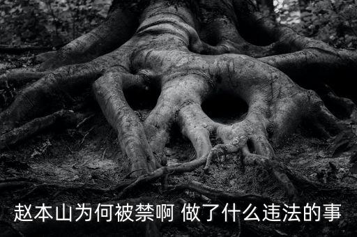 趙本山作品為什么禁播，趙本山的小品怎么也不讓播了