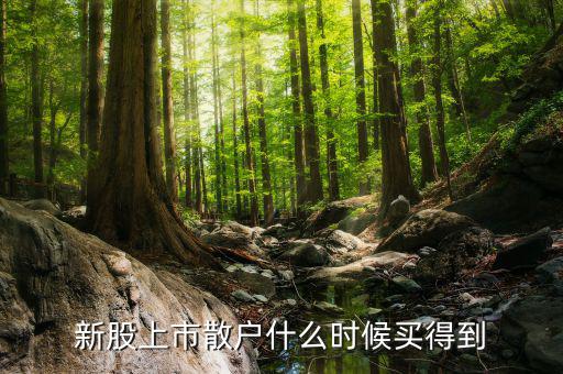散戶什么時(shí)候才能買到新股，新股上市散戶什么時(shí)候買得到