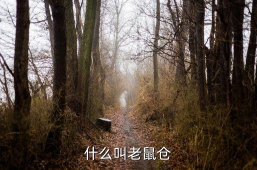 什么是老鼠倉(cāng)圖形，股票中什么是老鼠倉(cāng)呢簡(jiǎn)明即可