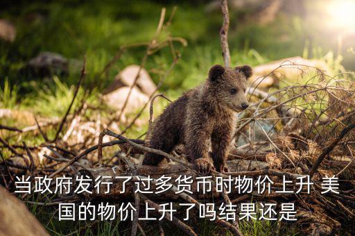 當(dāng)政府發(fā)行了過多貨幣時物價上升 美國的物價上升了嗎結(jié)果還是