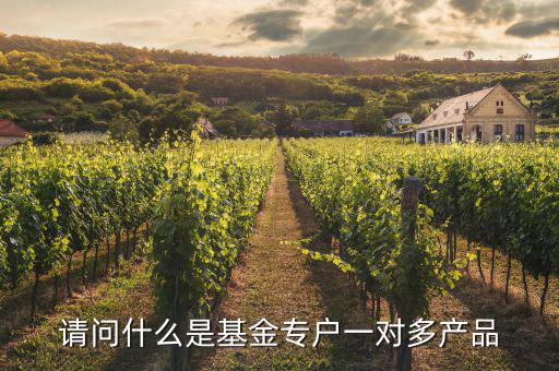 一對(duì)多專戶是什么意思，請(qǐng)問什么是基金專戶一對(duì)多產(chǎn)品