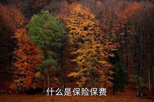 什么是保單保費，什么是保險保費