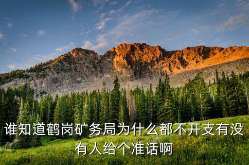 龍煤什么時(shí)候開資，誰知道鶴崗礦務(wù)局為什么都不開支有沒有人給個(gè)準(zhǔn)話啊