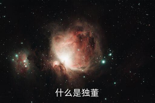 為什么董建華獨(dú)董，我國(guó)上市公司的獨(dú)立董事的來源主要有哪些