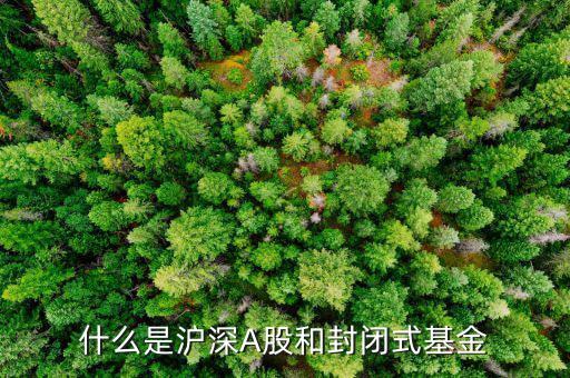 滬深封閉基金是什么意思，滬深封閉基金是什么意思呢如果我買了可以賣出嗎