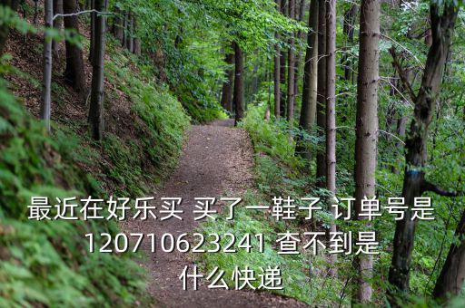 好樂買發(fā)什么快遞，我在好樂買用網(wǎng)銀付款買了雙鞋子請問他們都用什么快遞發(fā)貨