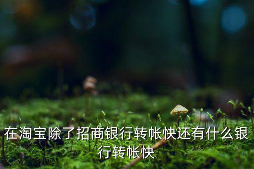 什么銀行網(wǎng)上轉(zhuǎn)賬最慢，在淘寶除了招商銀行轉(zhuǎn)帳快還有什么銀行轉(zhuǎn)帳快