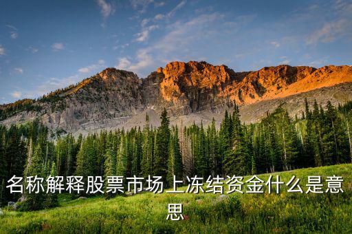 股票交易資金凍結(jié)什么意思，名稱解釋股票市場上凍結(jié)資金什么是意思