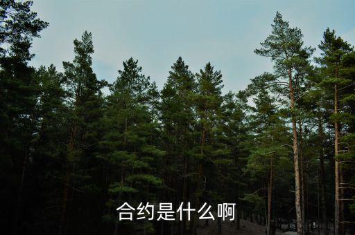 合約是什么意思，合約的意思是什么