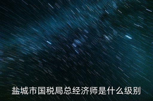 鹽城市國稅局總經(jīng)濟師是什么級別