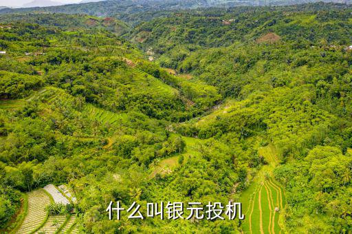 什么叫貨幣投機(jī)，什么是投機(jī)性的貨幣需求