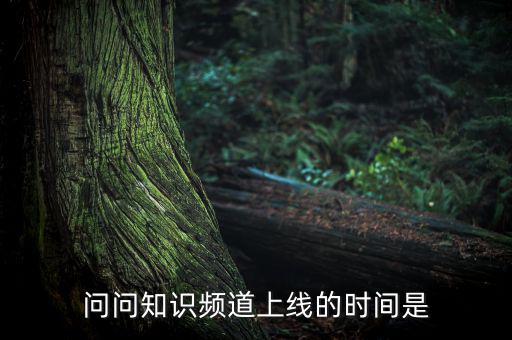 愛網(wǎng)貸平臺什么時(shí)候上線，問問知識頻道上線的時(shí)間是