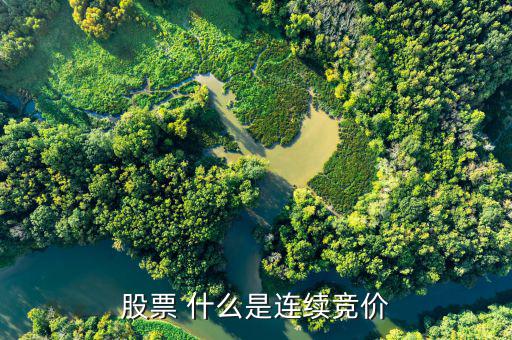股票連續(xù)競(jìng)價(jià)是什么意思，股票 什么是連續(xù)競(jìng)價(jià)