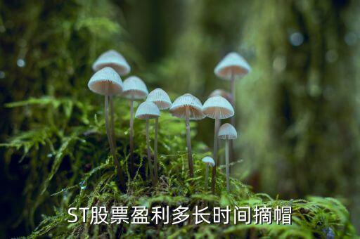 st什么時(shí)候能摘帽，ST船舶什么時(shí)候可以摘帽