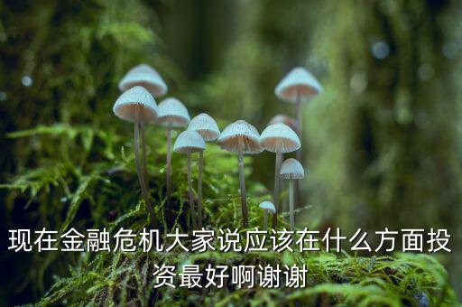 現在金融危機大家說應該在什么方面投資最好啊謝謝