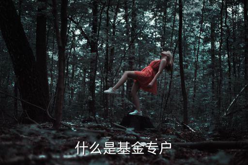 什么是基金專(zhuān)戶(hù)